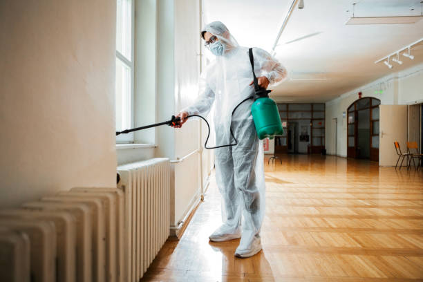 Real Estate Pest Inspections in Clermont, GA